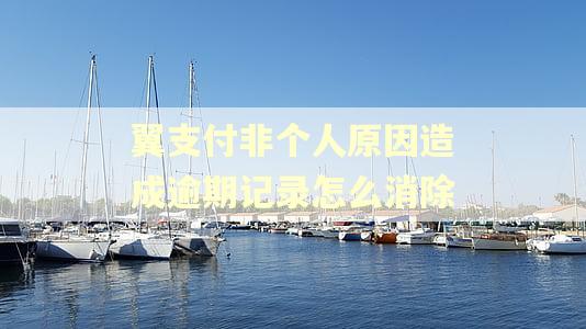 翼支付非个人原因造成逾期记录怎么消除