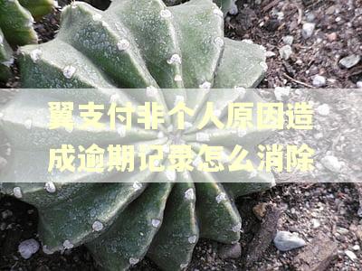翼支付非个人原因造成逾期记录怎么消除
