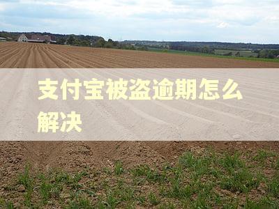支付宝被盗逾期怎么解决
