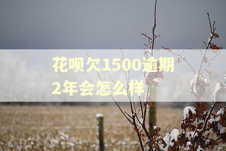 花呗欠1500逾期2年会怎么样
