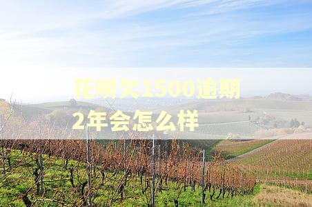 花呗欠1500逾期2年会怎么样