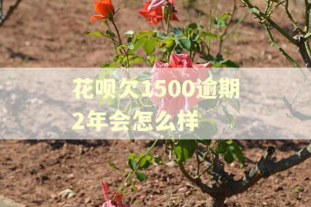 花呗欠1500逾期2年会怎么样