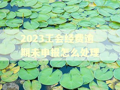 2023工会经费逾期未申报怎么处理