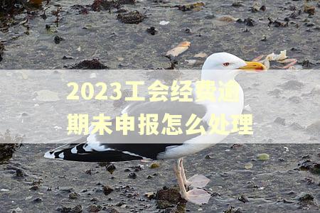 2023工会经费逾期未申报怎么处理