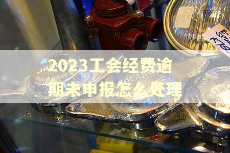 2023工会经费逾期未申报怎么处理
