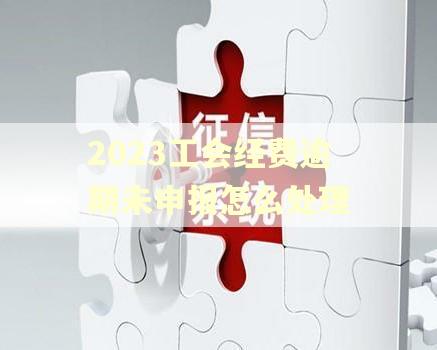 2023工会经费逾期未申报怎么处理 2023工会经费逾期未申报怎么处理