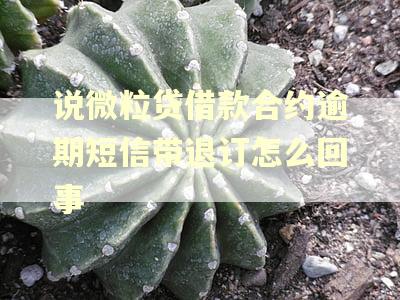 说微粒贷借款合约逾期短信带退订怎么回事