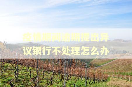 疫情期间逾期提出异议银行不处理怎么办