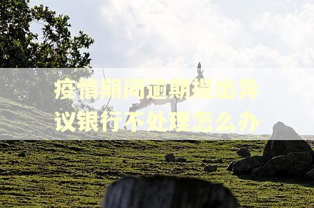 疫情期间逾期提出异议银行不处理怎么办