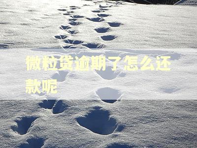 微粒贷逾期了怎么还款呢 微粒贷逾期了怎么还款呢