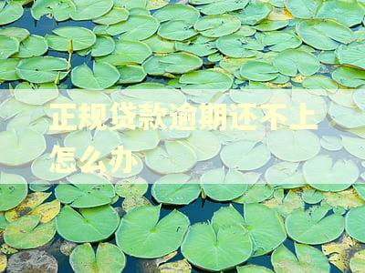 正规贷款逾期还不上怎么办