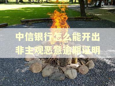 中信银行怎么能开出非主观恶意逾期证明