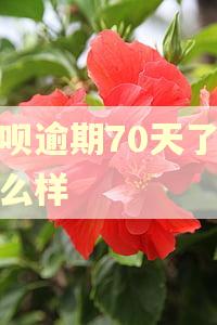 借呗逾期70天了会怎么样