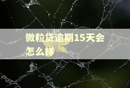 微粒贷逾期15天会怎么样