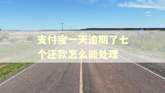 支付宝一天逾期了七个还款怎么能处理