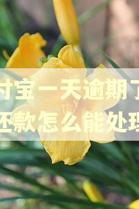 支付宝一天逾期了七个还款怎么能处理