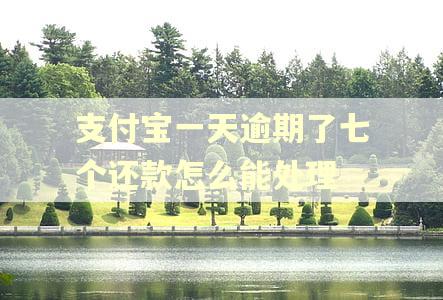 支付宝一天逾期了七个还款怎么能处理