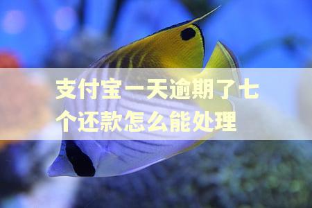 支付宝一天逾期了七个还款怎么能处理 支付宝一天逾期了七个还款怎么能处理