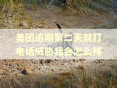 美团逾期第二天就打电话威胁我会怎么样