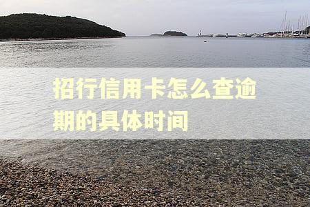 招行信用卡怎么查逾期的具体时间
