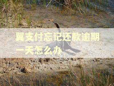 翼支付忘记还款逾期一天怎么办
