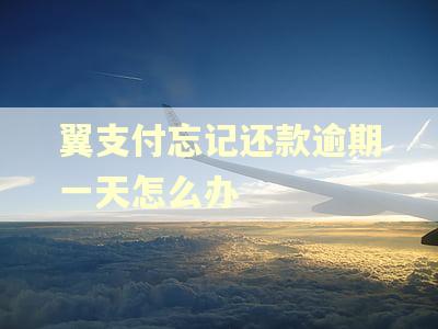 翼支付忘记还款逾期一天怎么办