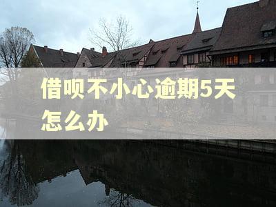 借呗不小心逾期5天怎么办