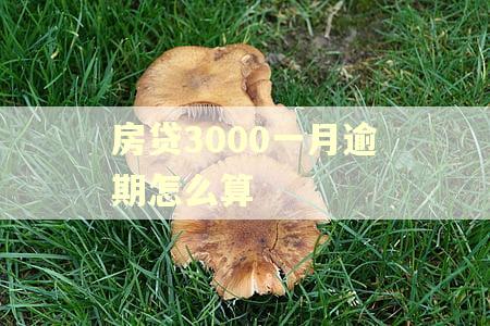 房贷3000一月逾期怎么算