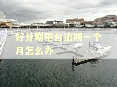 好分期平台逾期一个月怎么办