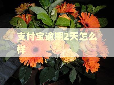 支付宝逾期2天怎么样 支付宝逾期2天怎么样