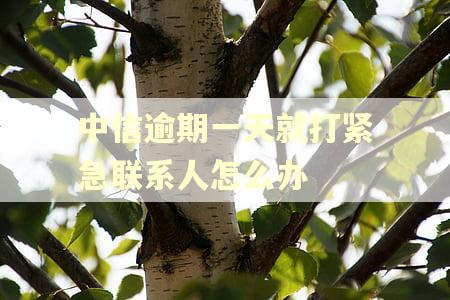 中信逾期一天就打紧急联系人怎么办