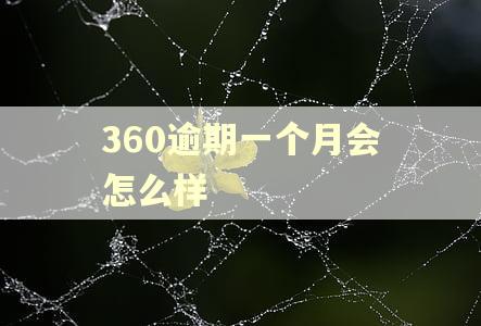 360逾期一个月会怎么样