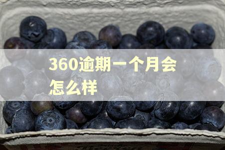 360逾期一个月会怎么样