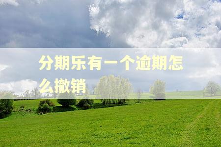 分期乐有一个逾期怎么撤销