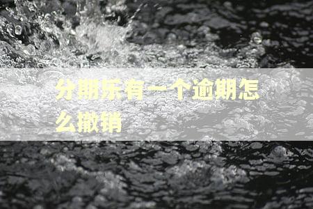 分期乐有一个逾期怎么撤销 分期乐有一个逾期怎么撤销