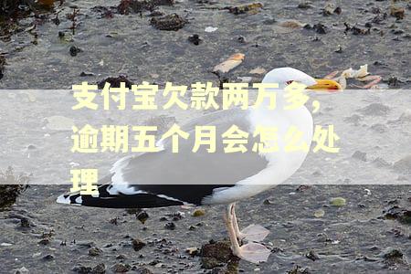 支付宝欠款两万多,逾期五个月会怎么处理