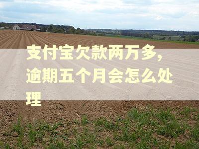 支付宝欠款两万多,逾期五个月会怎么处理