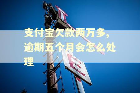 支付宝欠款两万多,逾期五个月会怎么处理