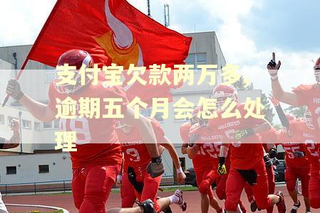 支付宝欠款两万多,逾期五个月会怎么处理 支付宝欠款两万多,逾期五个月会怎么处理