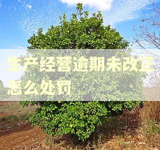 生产经营逾期未改正怎么处罚 生产经营逾期未改正怎么处罚