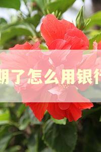 逾期了怎么用银行卡