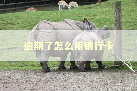 逾期了怎么用银行卡 逾期了怎么用银行卡