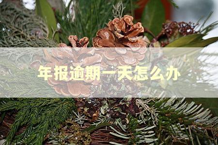 年报逾期一天怎么办
