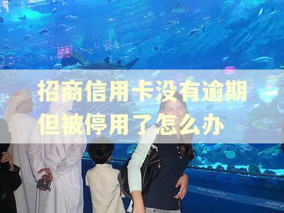 招商信用卡没有逾期但被停用了怎么办
