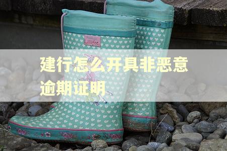建行怎么开具非恶意逾期证明