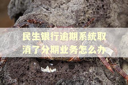 民生银行逾期系统取消了分期业务怎么办