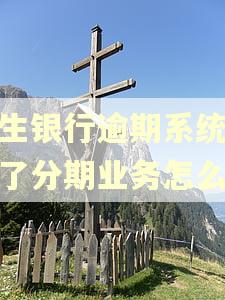 民生银行逾期系统取消了分期业务怎么办