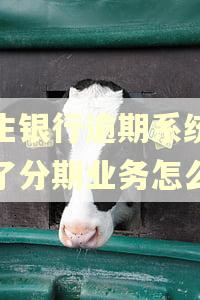 民生银行逾期系统取消了分期业务怎么办 民生银行逾期系统取消了分期业务怎么办