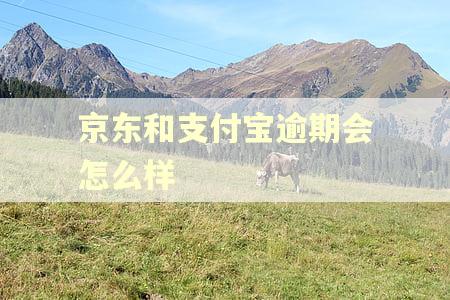 京东和支付宝逾期会怎么样