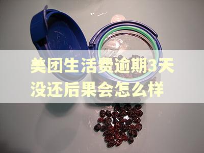 美团生活费逾期3天没还后果会怎么样 美团生活费逾期3天没还后果会怎么样